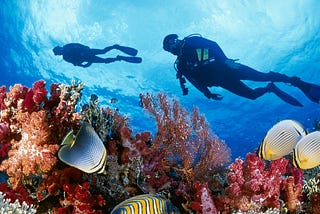 Should you scuba dive or not?