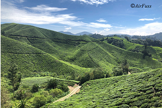 Blow Your Stress Away At Cameron Highlands!