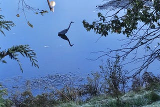 The Poetic Flow of Time