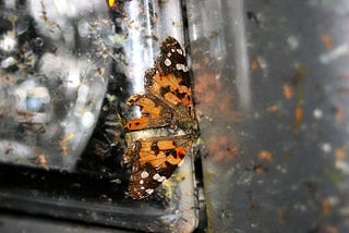 Respect Your Elders, They Ruined Everything