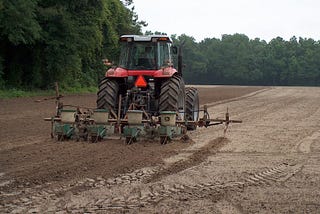 Starting a Wildlife Food Plot