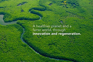 How to build a business that saves the world.