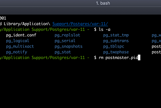 Postgres ‘postmaster.pid’ Errors