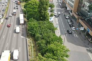 Steps to Creating and Urban Forest in Your City