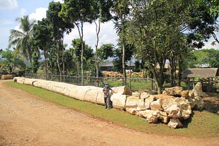 Do you hesitate to buy petrified wood furniture?