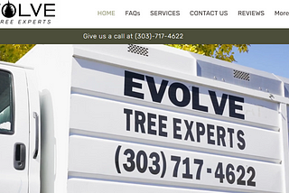 Elevate Your Landscape with Expert Tree Services in Denver, Colorado | Evolve Tree Experts