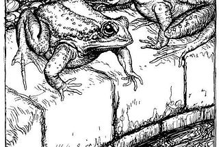 Managing the Two Frogs in our Minds