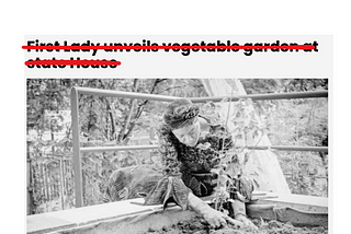 The Bill in Mrs. Tinubu’s garden.