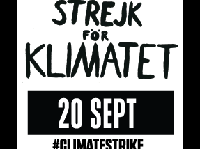 Mobilising 1 Million People in the UK to Climate Strike — Project update