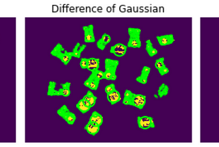 From Blob Detection to RegionProps: Navigating Image Segmentation and Shape Analysis