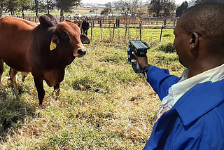 Traceability in Livestock Industry