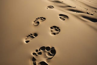 Each Footprint Tells a Story