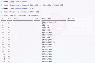 Threat Hunting: DNS C2