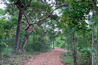 Community Empowerment and Behavior Change Are Critical for Cambodia’s Forest Protection