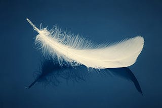 Scientific Natural Place/Source of Action