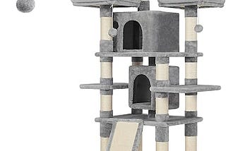 The Best Cat Trees For Large Cats