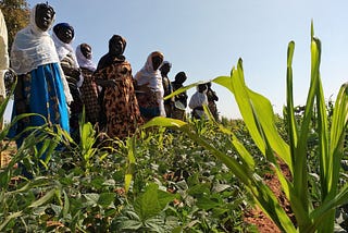 Why Invest in Rural Development?