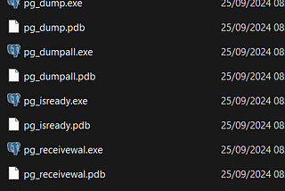 How to update Postgres binaries in DBeaver