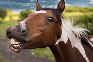 Why Dark Humor Is Actually a Sign of Genius: The Surprising Science Behind Your Funniest Friends