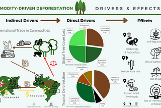 Fragmentation of the International Forest Regime Complex