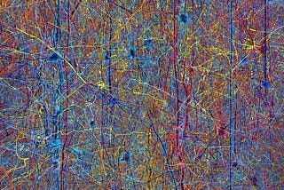 Figure 1: A ‘forest’ of neurons (Image: Blue Brain Project/EPFL, 2005).