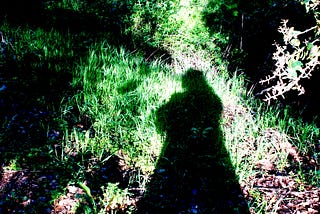 A silhouette of a shadow on a forest floor leading to a path to indicate how the shadow in dreams can point us toward the right path.