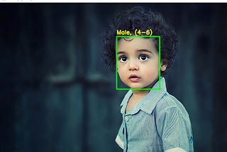 Predict the age and gender from the image using OpenCV and Deep learning