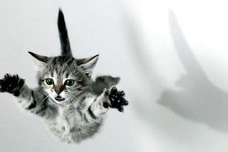 Yarn, o pulo do gato no JavaScript