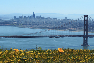 A Semester Amidst A Pandemic —Northeastern University San Francisco Program