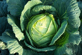 How We Got 600 People To Write “Cabbage” Under A LinkedIn Post