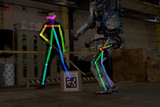 Human Pose Detection