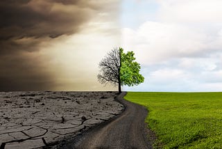 Metrics for evaluating the environmental footprint of new technologies in agriculture are broken