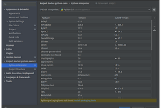 Python Interpreter settings