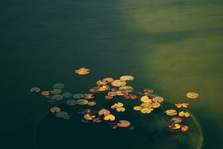 Hear the Sound of Music