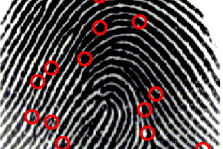 Thoughtful Biometrics for Fingerprints — Part 3