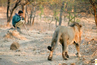 Gir National Park