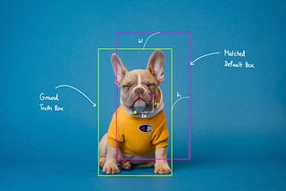 Implementing Single Shot Detector (SSD) in Keras: Part II — Loss Functions