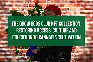 The Grow Gods Club NFT Collection: Restoring Access, Culture and Education to Cannabis Cultivation…