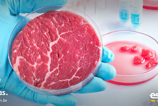 Carne de laboratório: o que você precisa saber