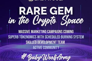 BabyWoolf Coin: A Rare Gem in the Crypto Space