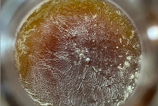 There’s a Hidden Reason Why Your Iron is Constantly Low