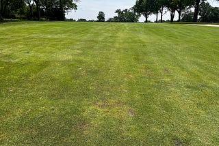 Summertime! 1st Heat Wave, Dollar Spot begins, Take-all Patch again?!? and Native Flowers