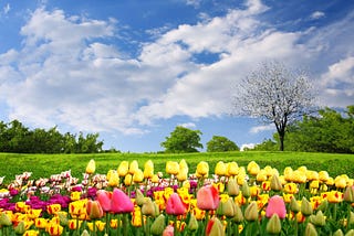 The Week Ahead: April 24–30