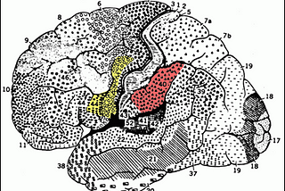 On a Theory of Mind in relation to our hominin ancestors