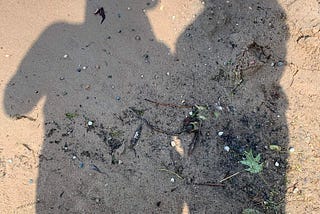 The (500-mile diameter) Family Circle