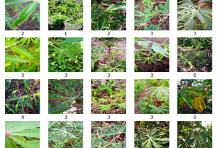 Cassava Leaf Disease Classification — TFRecord and Updated Models