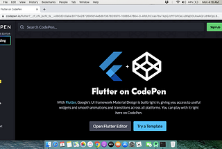 CodePen With Flutter