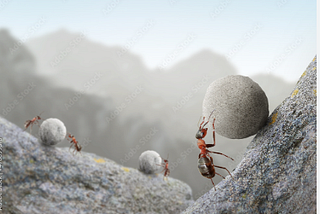Those Who Try Never Fail