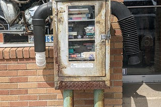 A Big Year with the Little Library