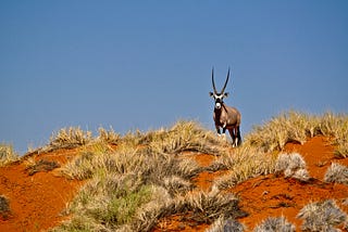 Red sands treasure